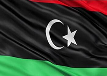 ندیم اشرف سندھو نے پاکستان پیپلز پارٹی میں شمولیت اختیار کرلی