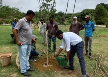 کمشنر کراچی کی مون سون شجر کاری مہم