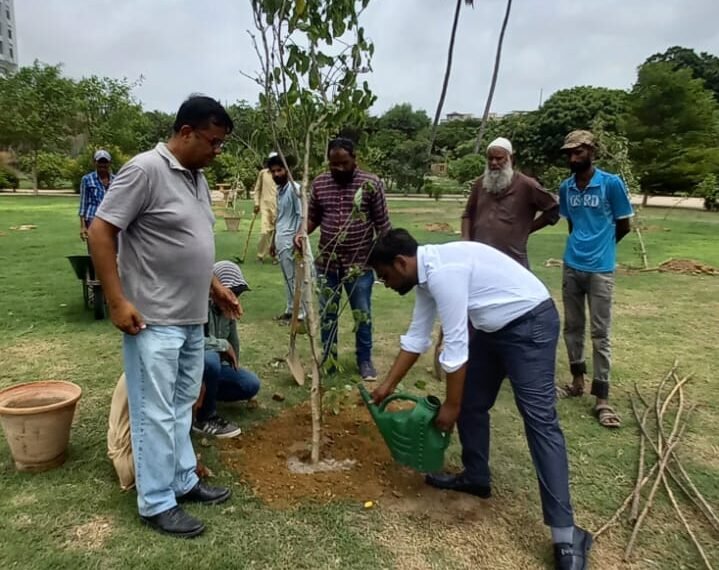 کمشنر کراچی کی مون سون شجر کاری مہم