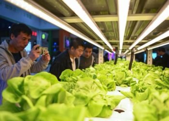 چین کا زرعی سائنس سٹی ایس سی او ممالک میں جدید زرعی ترقی کے لئے سمارٹ حل