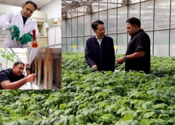 چین کی جدید زرعی ٹیکنالوجی کی مدد سے پاکستانی محقق ملکی زراعت میں تبدیلی کا خواہاں